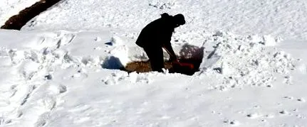 добре