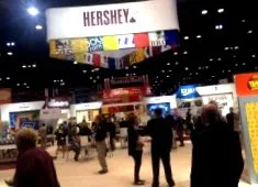 expo рішення