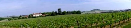 Folle Blanche регіонів Франції