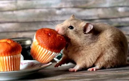 чого