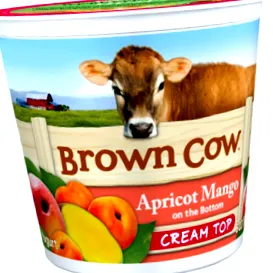 brainfood