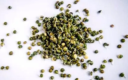 пророщування detox