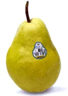 сортах стемілт