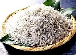 сушена