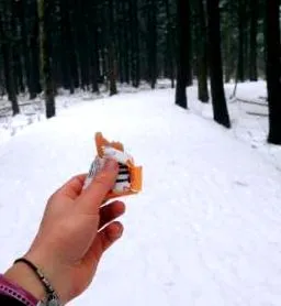 loppet