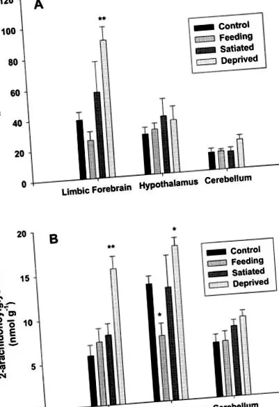 endokannabinoid