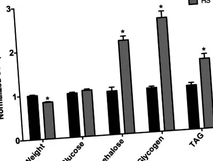 metabolikus transzgenerációs