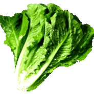 капусти