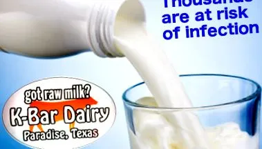 udder milk-nek