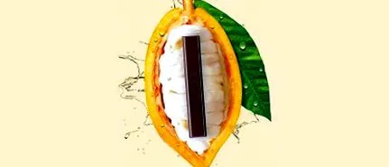 винайшла nestlé