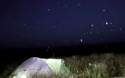 день острові