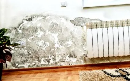 вашого видалення