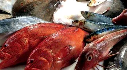 харчування морепродуктами