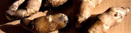 sunchokes багатьма