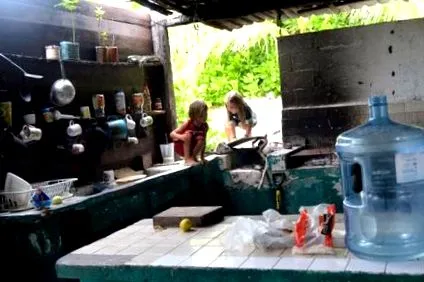 революція паразитів