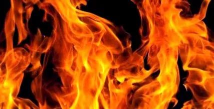вагову тарілку жиру