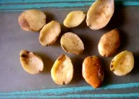 манго