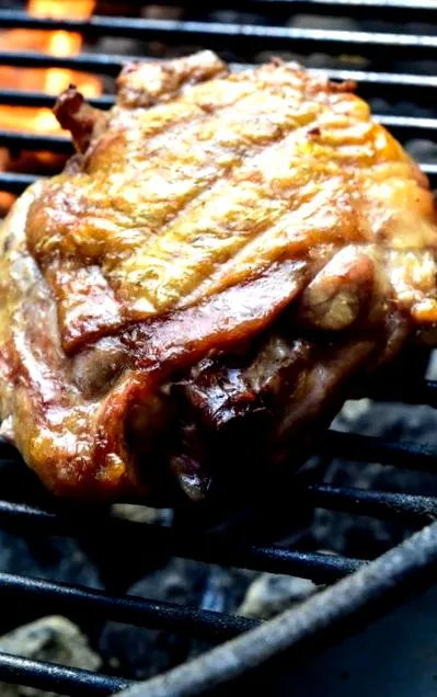 курячого