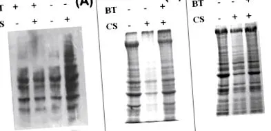 témákról sciencedirect