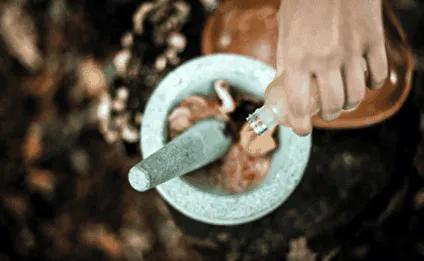 аюрведичні