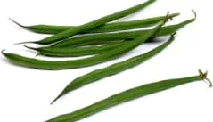 квасоля квасоля
