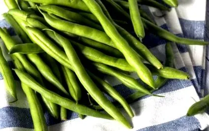 проти проти
