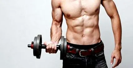 ectomorph
