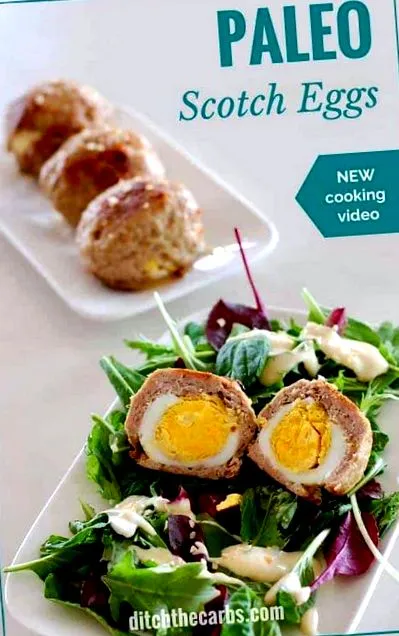 paleo