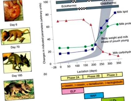 sciencedirect sciencedirect