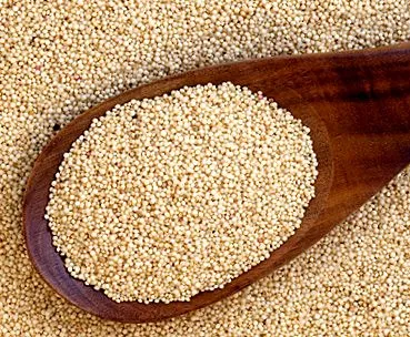 amaranth