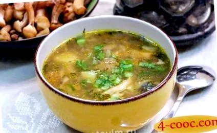 грибний