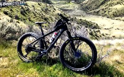fork bike