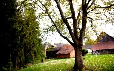 obenauscommunity
