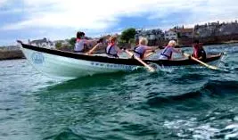 спорту спорту