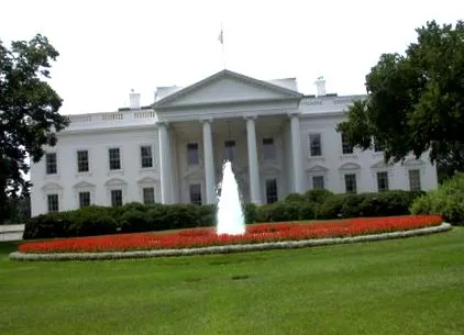 трампа