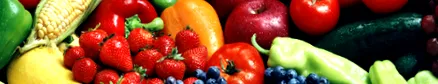 nutrition