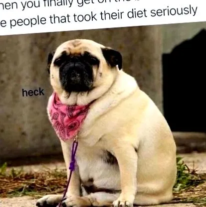 képek