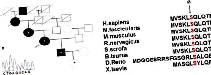 fiatalok