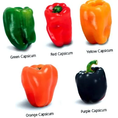 capsicum користь