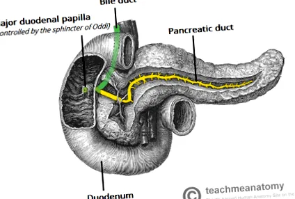 teachmesurgery
