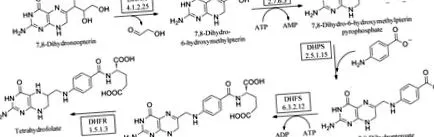 8-dihidropterin kristályosítása