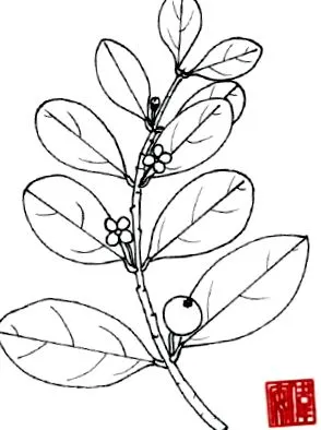 огляд ScienceDirect огляд