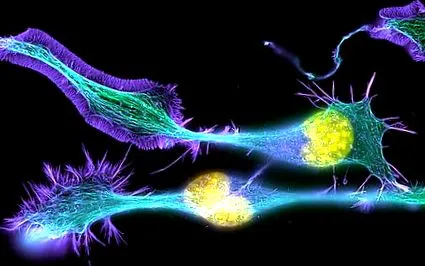 conscienhealth