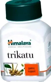 гімалаї
