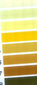 інститут інститут
