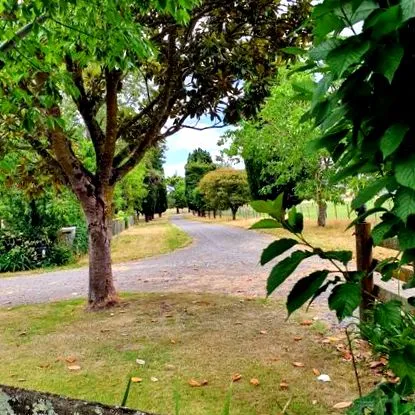 2019 року трьох тижнів