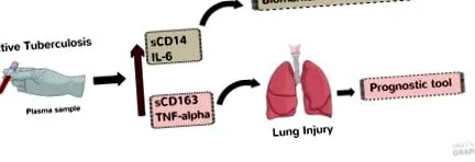 plazma immunbiomarkerek