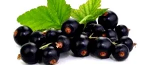 berry maqui