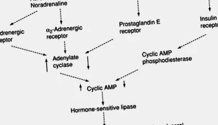sciencedirect sciencedirect