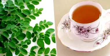 Moringa схуднення